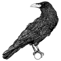 Roter Rabe logo